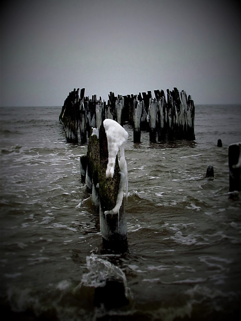 Fotografijų konkursas „Palanga. Jūros įkvėpta istorija” ir įdomiausio eksponato konkursas „Palanga. Istorijos atspindžiai”