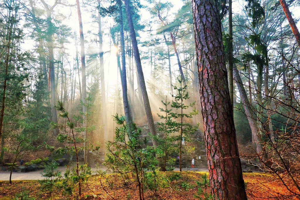 Fotografijų konkursas „Palanga. Jūros įkvėpta istorija” ir įdomiausio eksponato konkursas „Palanga. Istorijos atspindžiai”